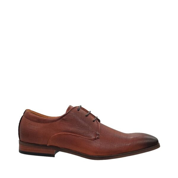 EgoB70-12426camel